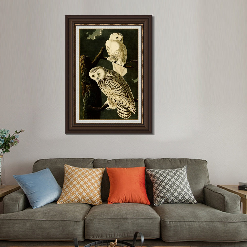 INVIN ART Framed Canvas Art Giclee Print Snowy Owl by John James Audubon  Home Office Wall Art Decorations