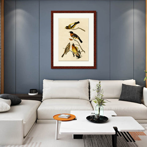 INVIN ART Framed Canvas Art Giclee Print Series#115 by John James Audubon Living Room Home Office Wall Art Decorations