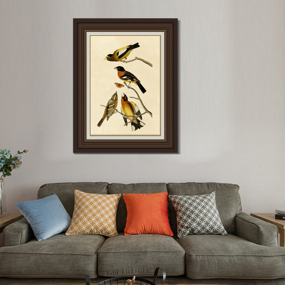 INVIN ART Framed Canvas Art Giclee Print Series#115 by John James Audubon  Home Office Wall Art Decorations
