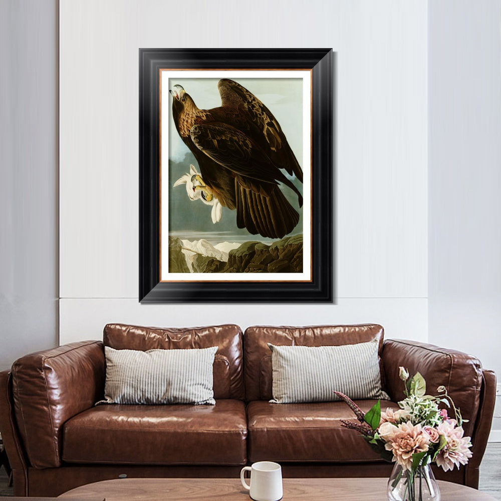 INVIN ART Framed Canvas Art Giclee Print Series#118 by John James Audubon  Home Office Wall Art Decorations
