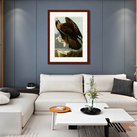 INVIN ART Framed Canvas Art Giclee Print Series#118 by John James Audubon Living Room Home Office Wall Art Decorations
