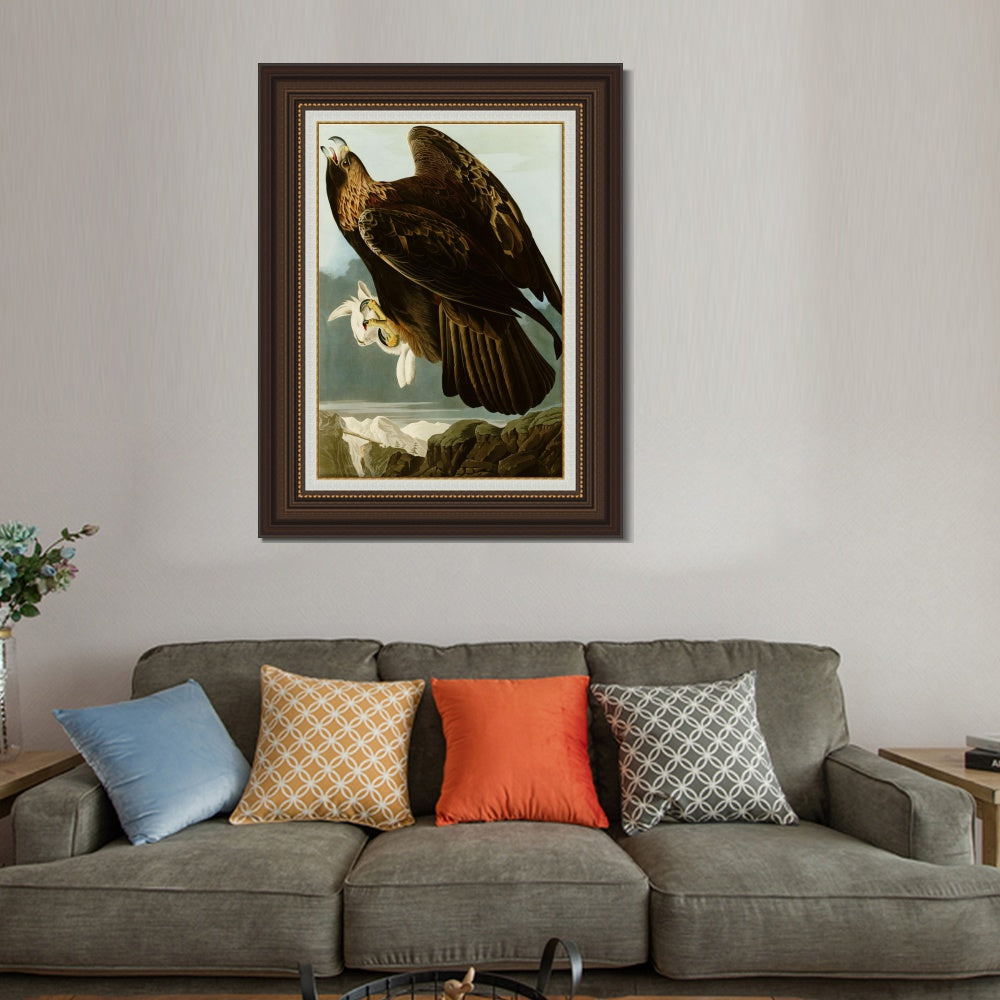 INVIN ART Framed Canvas Art Giclee Print Series#118 by John James Audubon  Home Office Wall Art Decorations
