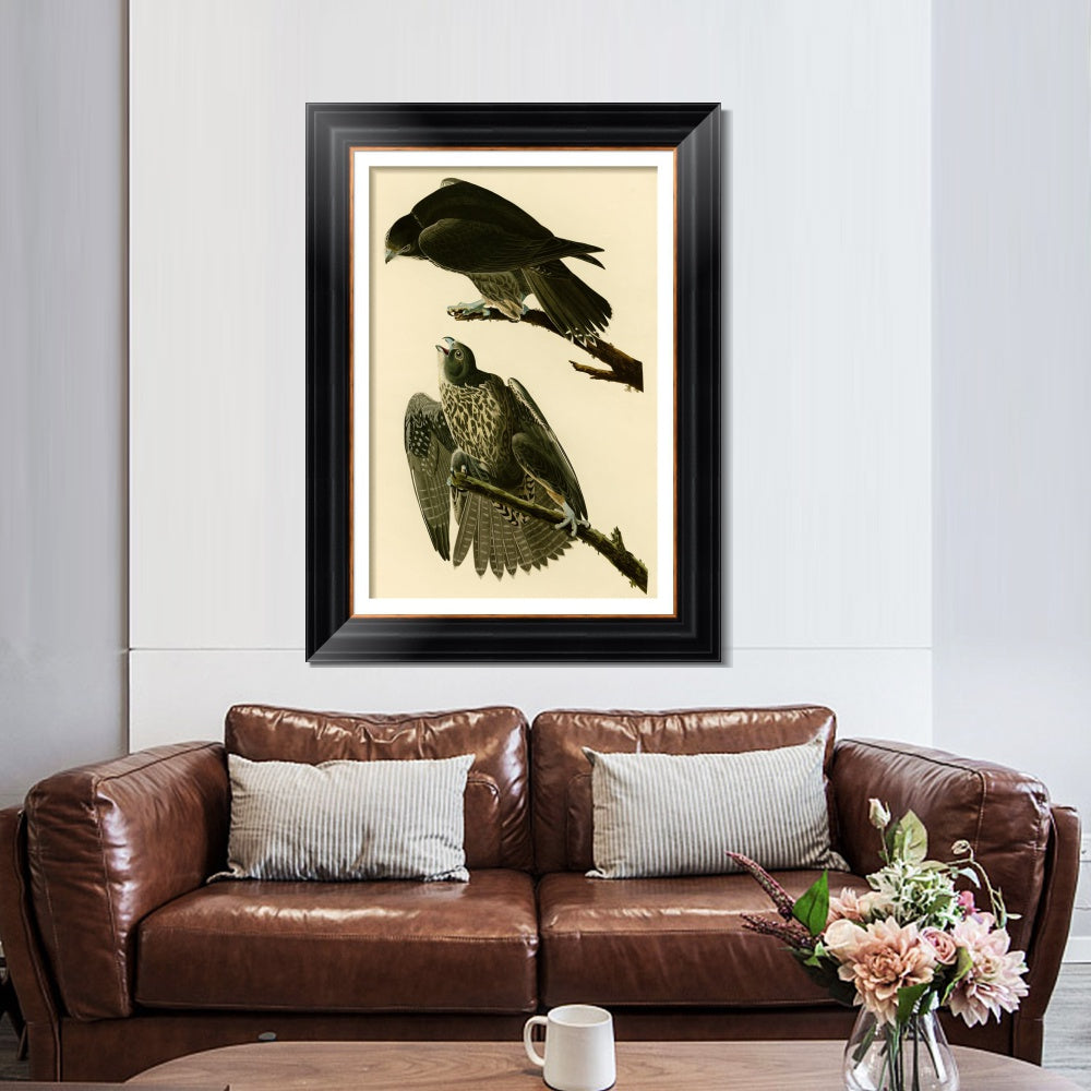 INVIN ART Framed Canvas Art Giclee Print Series#119 by John James Audubon  Home Office Wall Art Decorations
