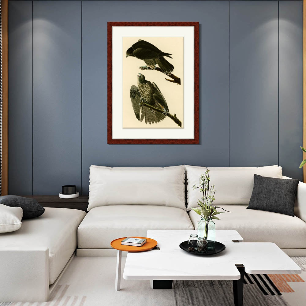 INVIN ART Framed Canvas Art Giclee Print Series#119 by John James Audubon  Home Office Wall Art Decorations