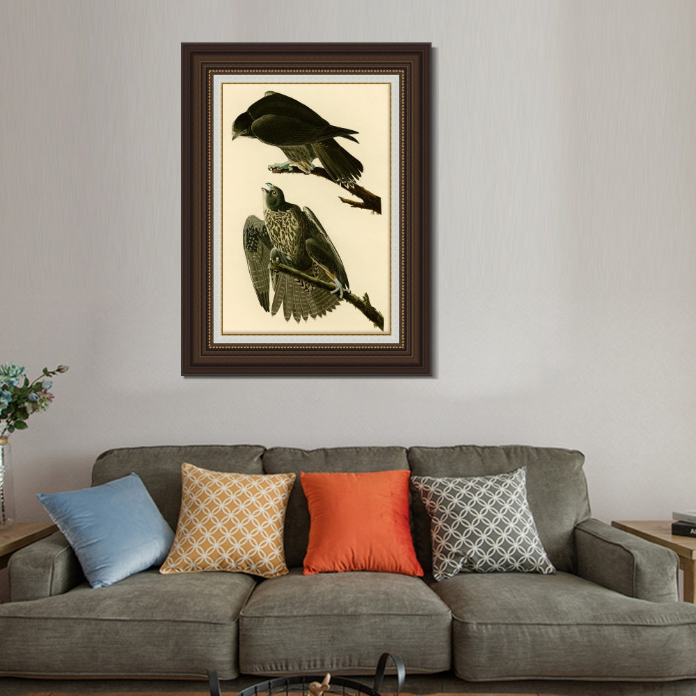 INVIN ART Framed Canvas Art Giclee Print Series#119 by John James Audubon  Home Office Wall Art Decorations