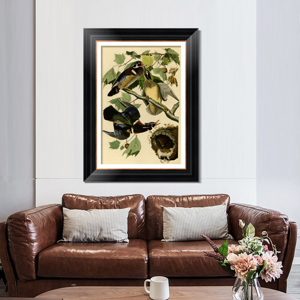 INVIN ART Framed Canvas Art Giclee Print Summer or Wood Duck by John James Audubon  Home Office Wall Art Decorations