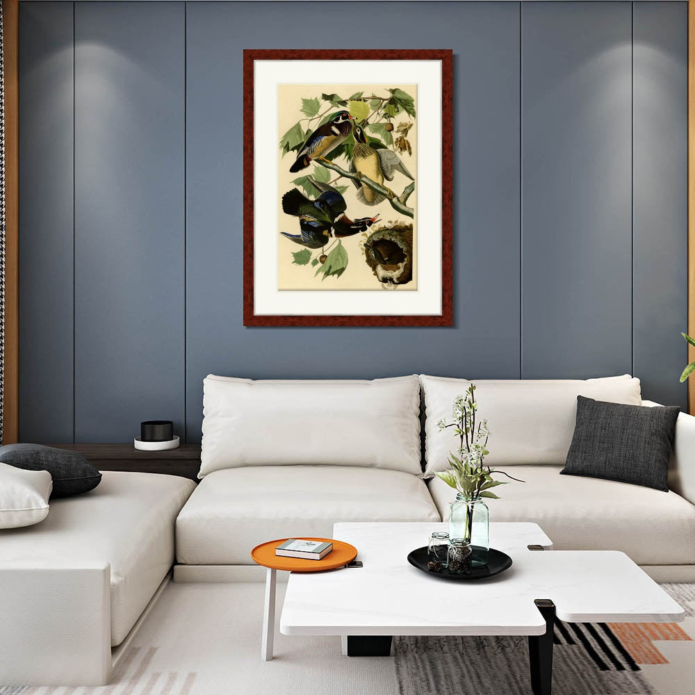 INVIN ART Framed Canvas Art Giclee Print Summer or Wood Duck by John James Audubon  Home Office Wall Art Decorations