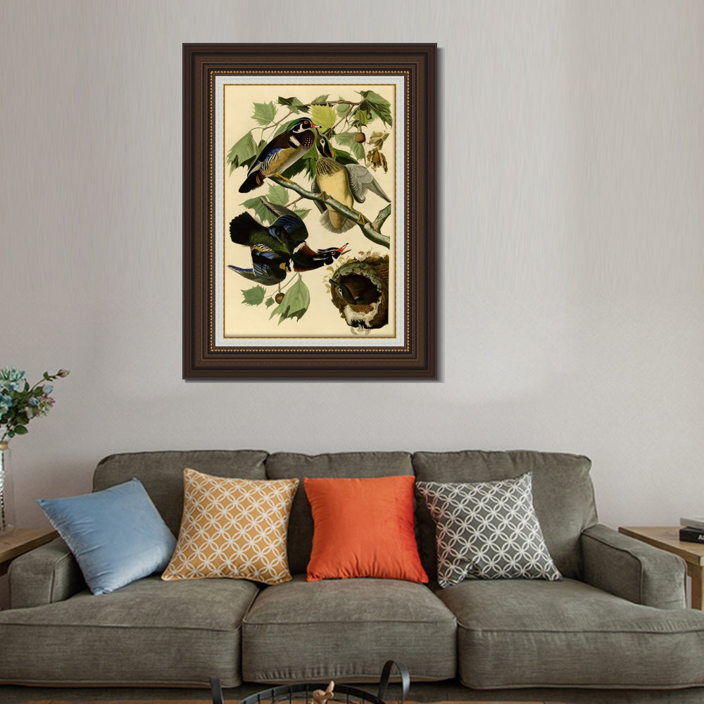INVIN ART Framed Canvas Art Giclee Print Summer or Wood Duck by John James Audubon  Home Office Wall Art Decorations
