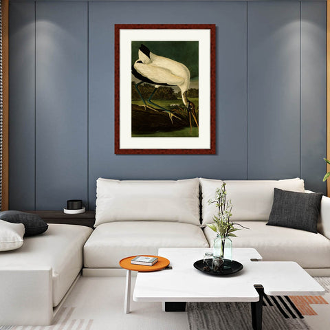 INVIN ART Framed Canvas Art Giclee Print Series#121 by John James Audubon Living Room Home Office Wall Art Decorations