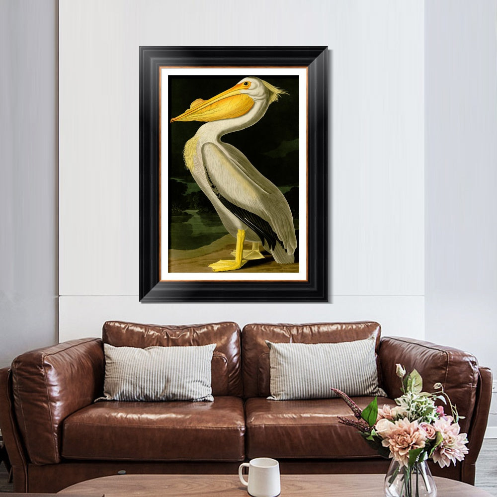 INVIN ART Framed Canvas Art Giclee Print American White Pelican by John James Audubon  Home Office Wall Art Decorations