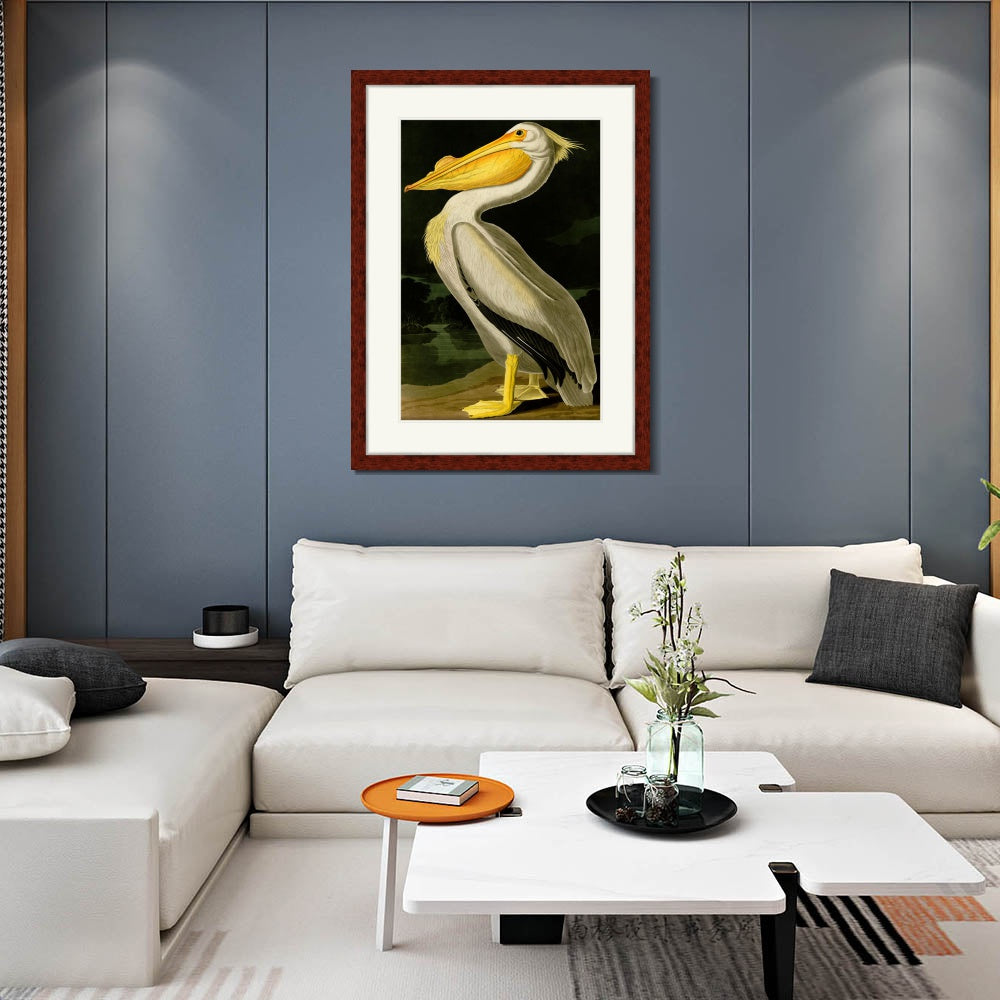 INVIN ART Framed Canvas Art Giclee Print American White Pelican by John James Audubon  Home Office Wall Art Decorations