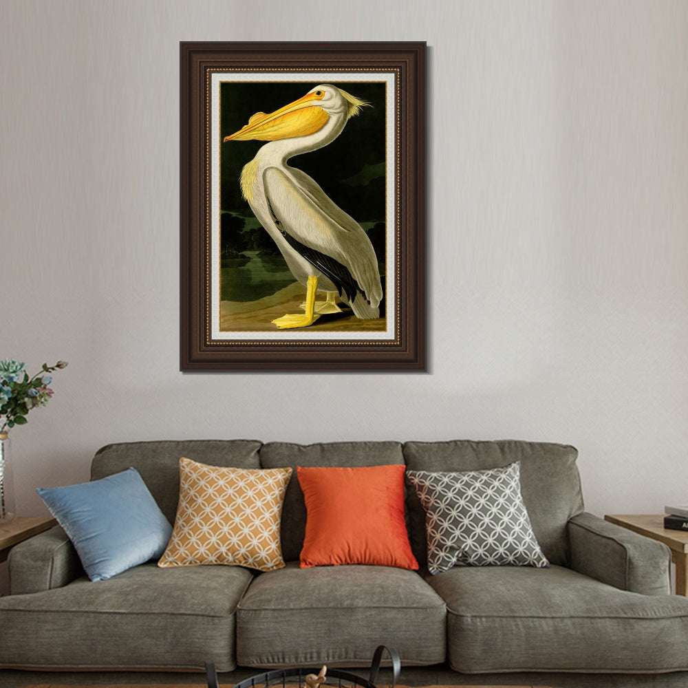 INVIN ART Framed Canvas Art Giclee Print American White Pelican by John James Audubon  Home Office Wall Art Decorations