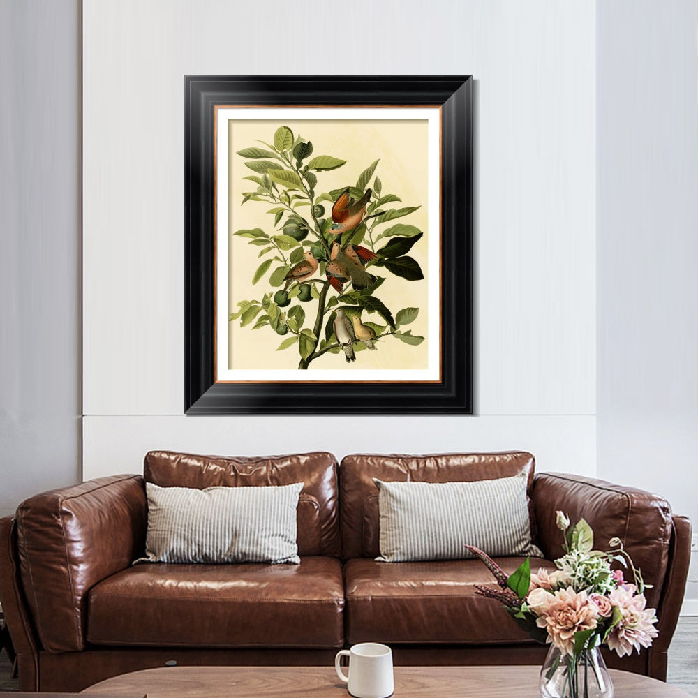 INVIN ART Framed Canvas Art Giclee Print Ground Dove by John James Audubon  Home Office Wall Art Decorations