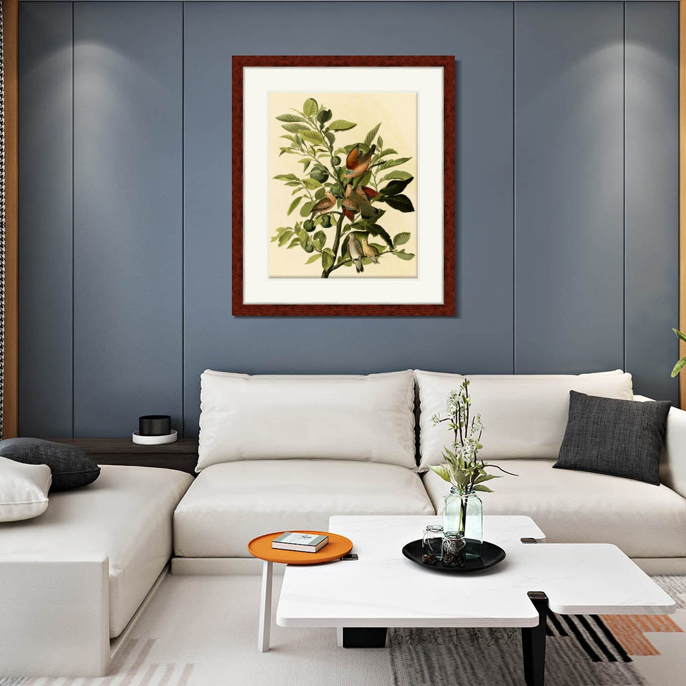 INVIN ART Framed Canvas Art Giclee Print Ground Dove by John James Audubon  Home Office Wall Art Decorations
