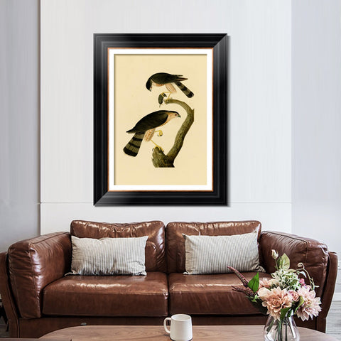 INVIN ART Framed Canvas Art Giclee Print Sharp shinned Hawk by John James Audubon Living Room Home Office Wall Art Decorations