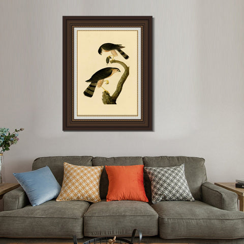 INVIN ART Framed Canvas Art Giclee Print Sharp shinned Hawk by John James Audubon Living Room Home Office Wall Art Decorations