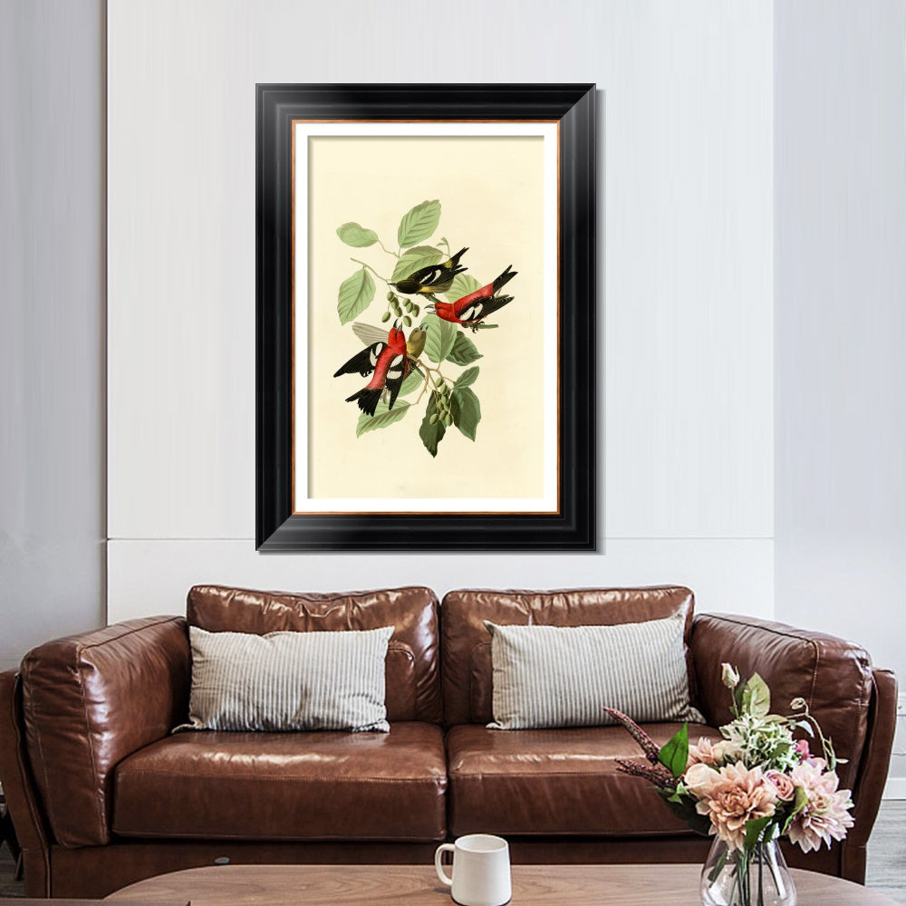 INVIN ART Framed Canvas Art Giclee Print White winged Crossbill by John James Audubon  Home Office Wall Art Decorations