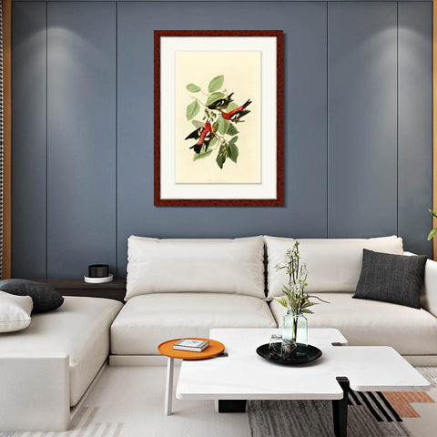 INVIN ART Framed Canvas Art Giclee Print White winged Crossbill by John James Audubon Living Room Home Office Wall Art Decorations