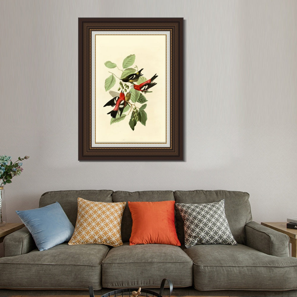 INVIN ART Framed Canvas Art Giclee Print White winged Crossbill by John James Audubon  Home Office Wall Art Decorations