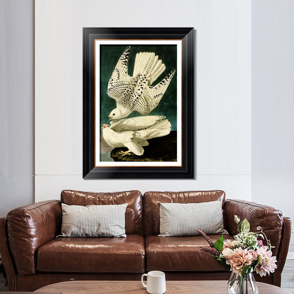 INVIN ART Framed Canvas Art Giclee Print Iceland or Jer Falcon by John James Audubon  Home Office Wall Art Decorations