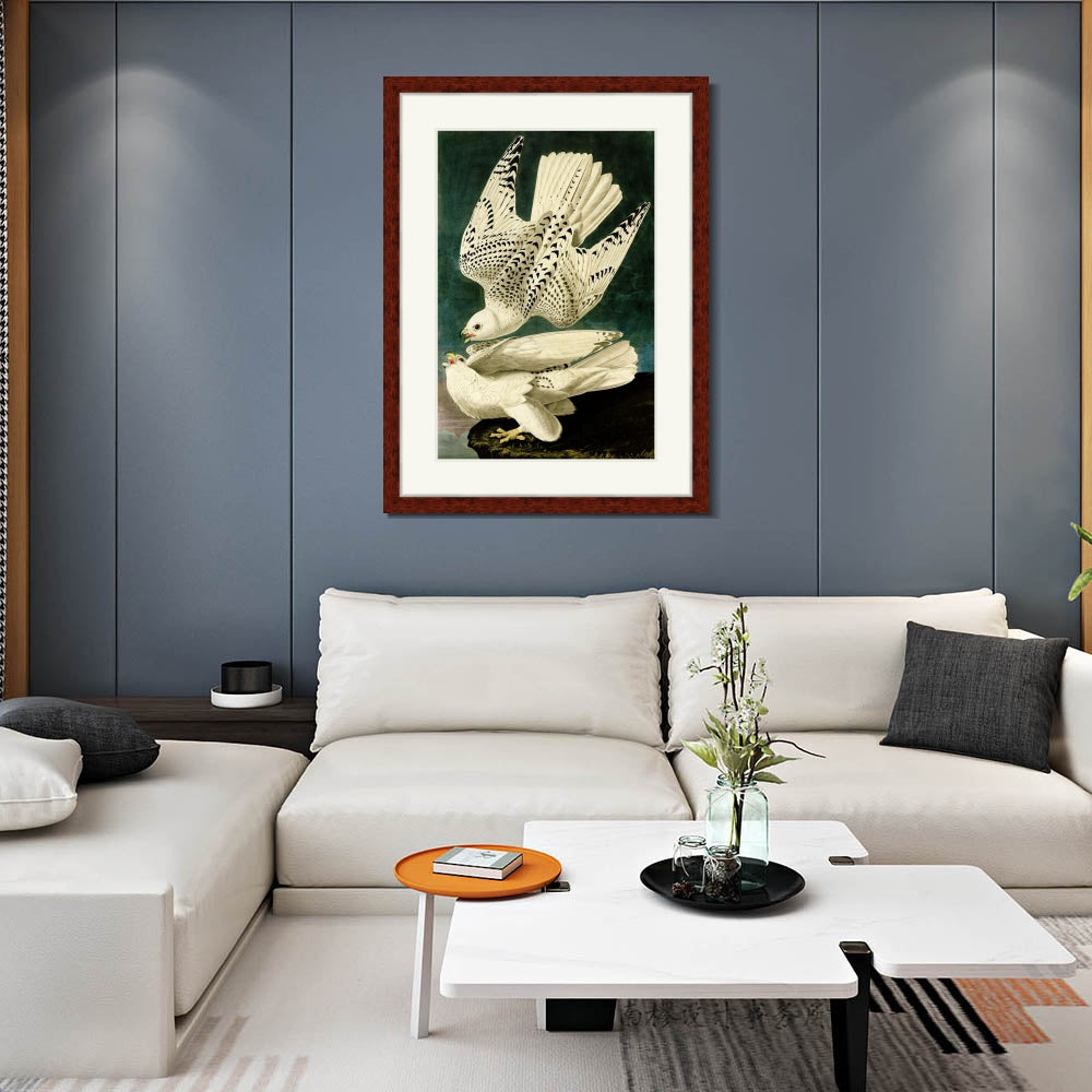 INVIN ART Framed Canvas Art Giclee Print Iceland or Jer Falcon by John James Audubon  Home Office Wall Art Decorations