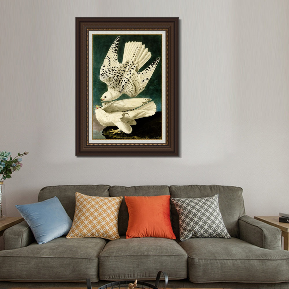 INVIN ART Framed Canvas Art Giclee Print Iceland or Jer Falcon by John James Audubon  Home Office Wall Art Decorations