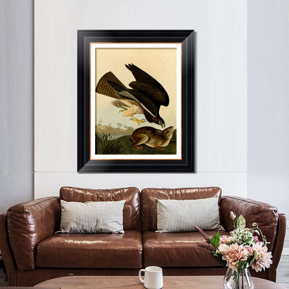 INVIN ART Framed Canvas Art Giclee Print Common Buzzard by John James Audubon  Home Office Wall Art Decorations