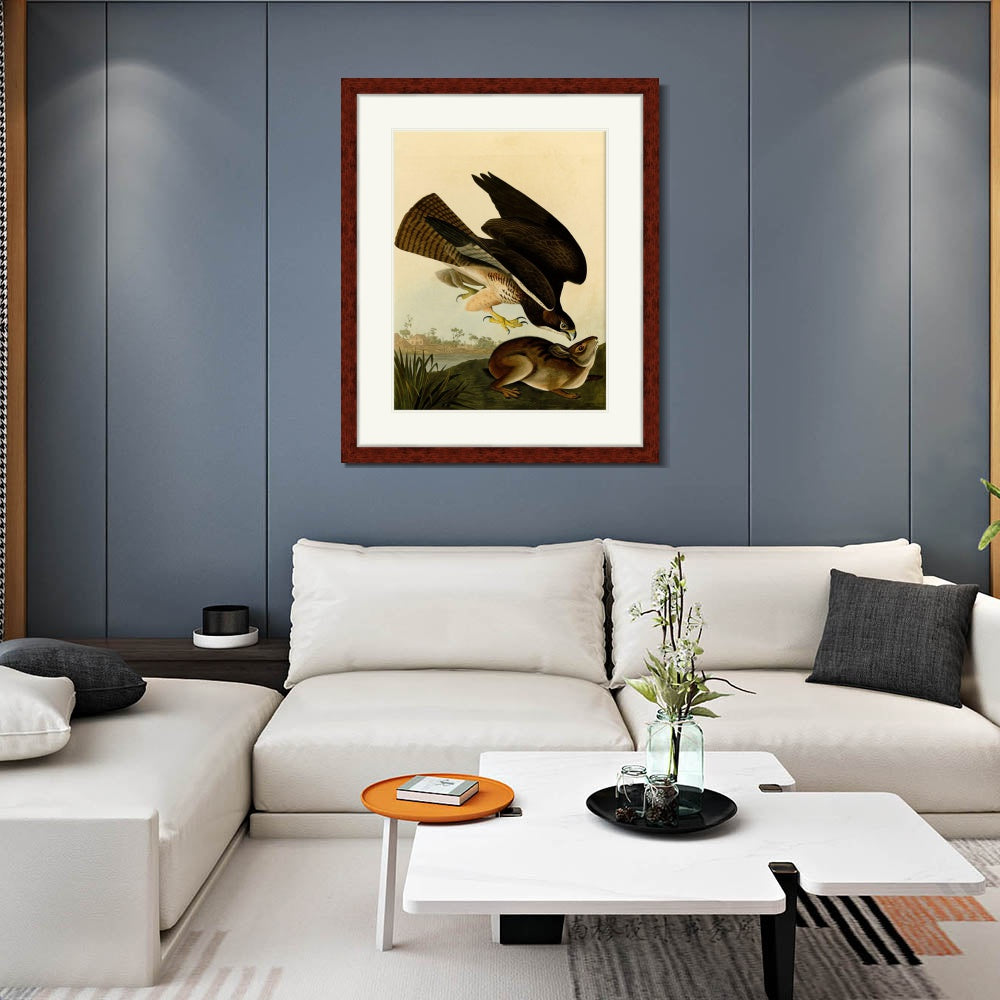 INVIN ART Framed Canvas Art Giclee Print Common Buzzard by John James Audubon  Home Office Wall Art Decorations