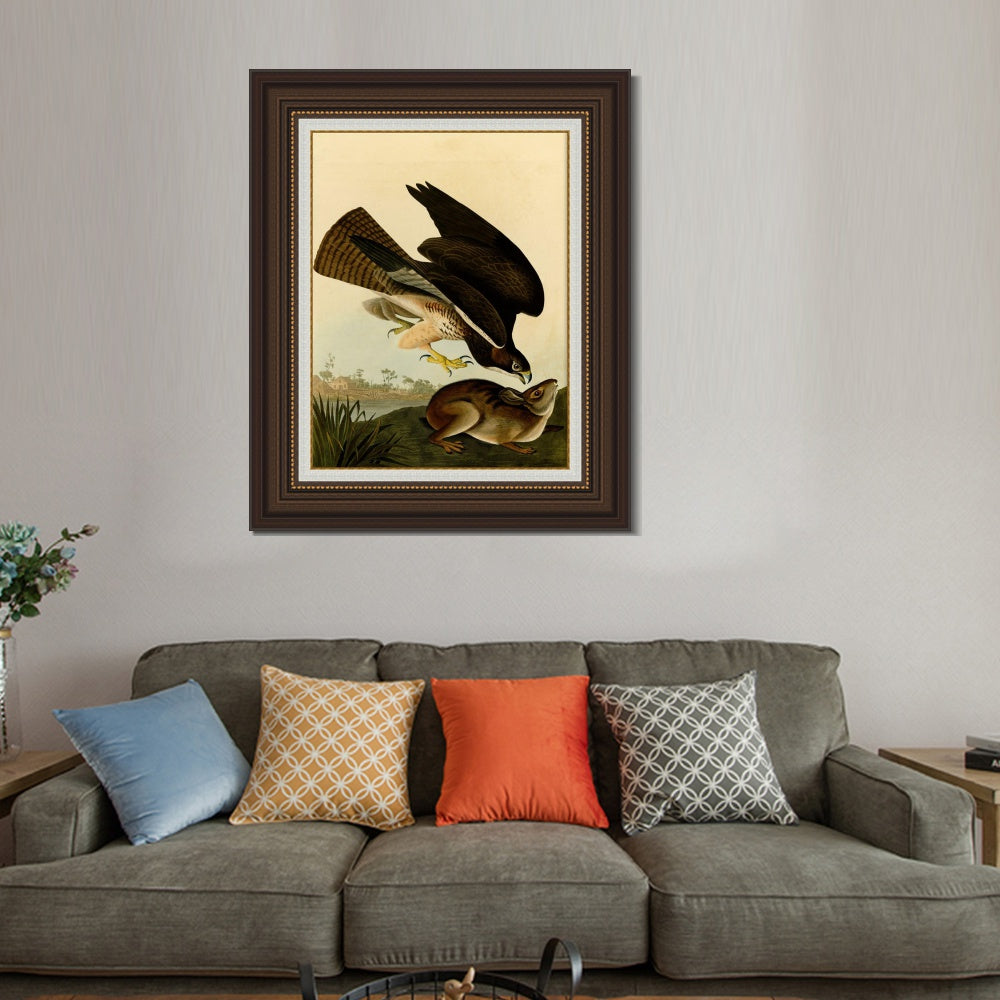 INVIN ART Framed Canvas Art Giclee Print Common Buzzard by John James Audubon  Home Office Wall Art Decorations