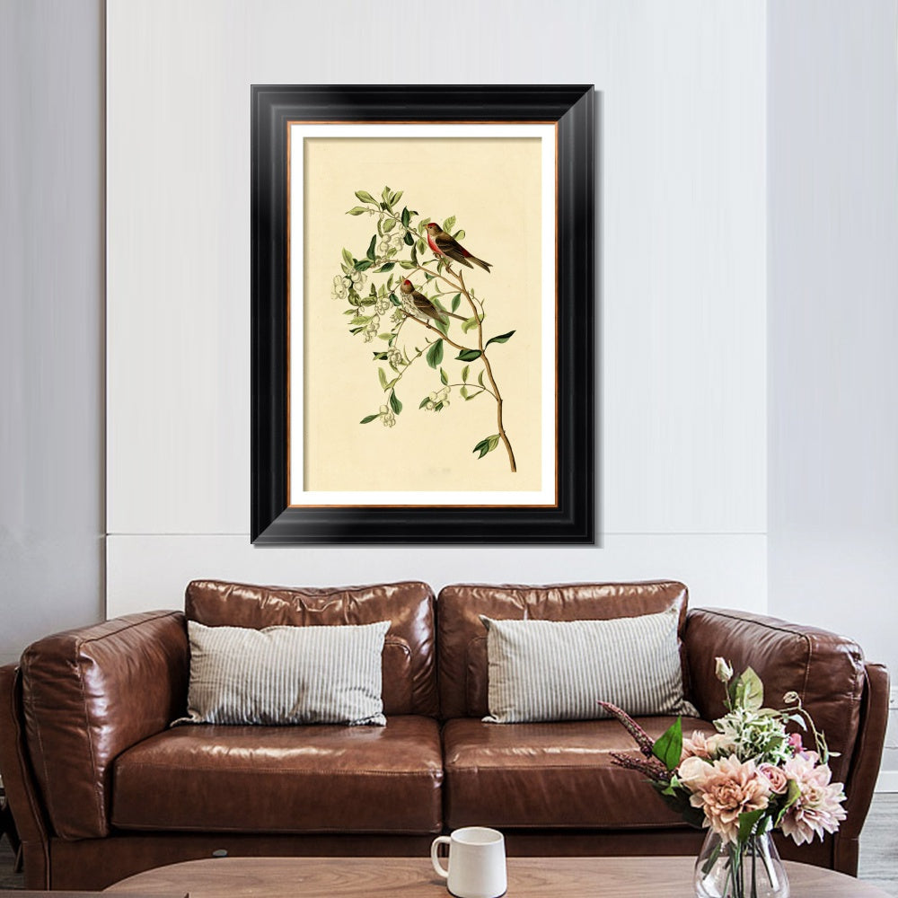 INVIN ART Framed Canvas Art Giclee Print Lesser Red Poll by John James Audubon  Home Office Wall Art Decorations