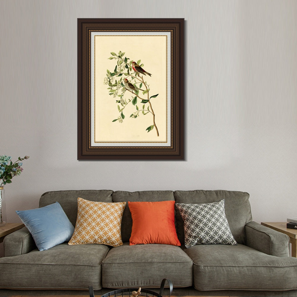 INVIN ART Framed Canvas Art Giclee Print Lesser Red Poll by John James Audubon  Home Office Wall Art Decorations
