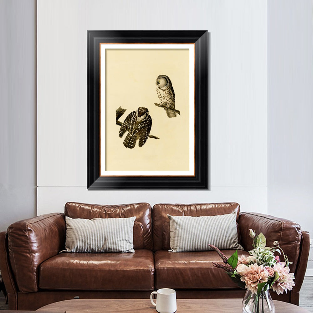 INVIN ART Framed Canvas Art Giclee Print Tengmalm's_Owl by John James Audubon  Home Office Wall Art Decorations