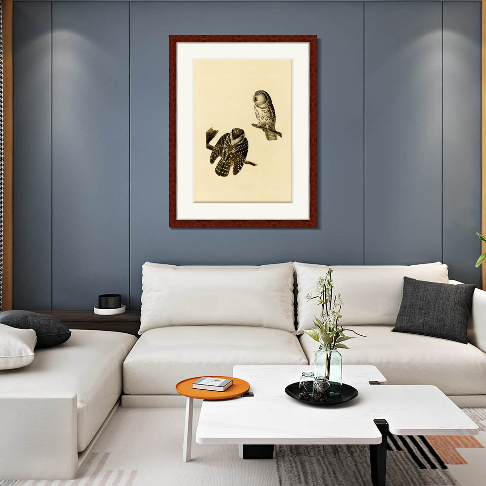 INVIN ART Framed Canvas Art Giclee Print Tengmalm's_Owl by John James Audubon  Home Office Wall Art Decorations