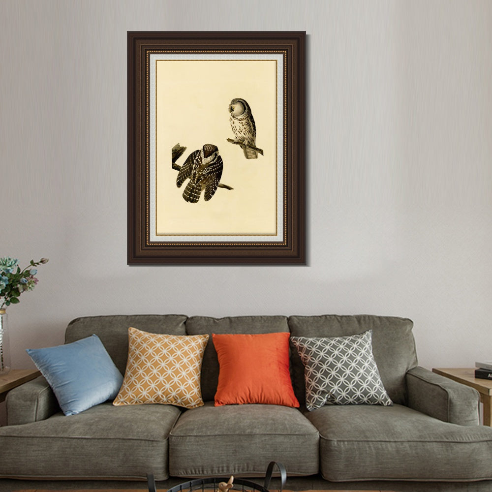 INVIN ART Framed Canvas Art Giclee Print Tengmalm's_Owl by John James Audubon  Home Office Wall Art Decorations