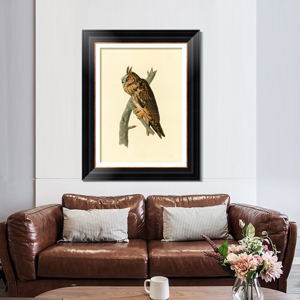 INVIN ART Framed Canvas Art Giclee Print Long eared Owl by John James Audubon  Home Office Wall Art Decorations