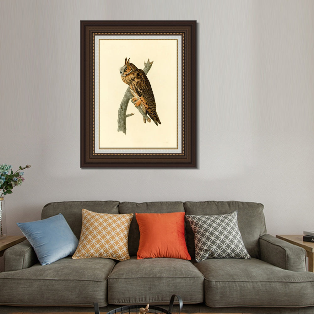 INVIN ART Framed Canvas Art Giclee Print Long eared Owl by John James Audubon  Home Office Wall Art Decorations