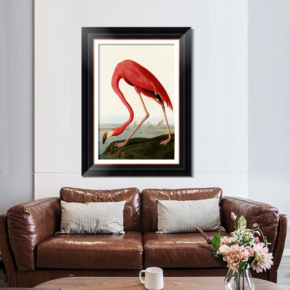 INVIN ART Framed Canvas Art Giclee Print American Flamingo by John James Audubon  Home Office Wall Art Decorations