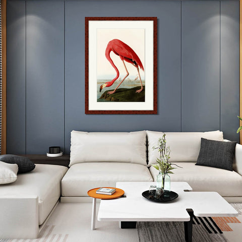 INVIN ART Framed Canvas Art Giclee Print American Flamingo by John James Audubon Living Room Home Office Wall Art Decorations