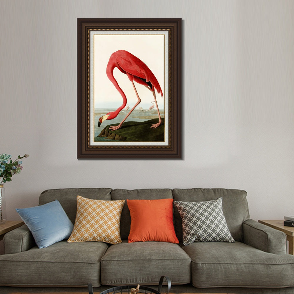INVIN ART Framed Canvas Art Giclee Print American Flamingo by John James Audubon  Home Office Wall Art Decorations