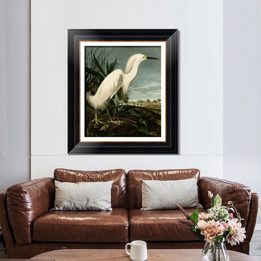 INVIN ART Framed Canvas Art Giclee Print Snowy Heron or White Egret by John James Audubon  Home Office Wall Art Decorations