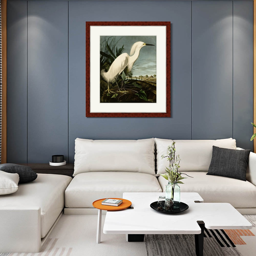 INVIN ART Framed Canvas Art Giclee Print Snowy Heron or White Egret by John James Audubon  Home Office Wall Art Decorations