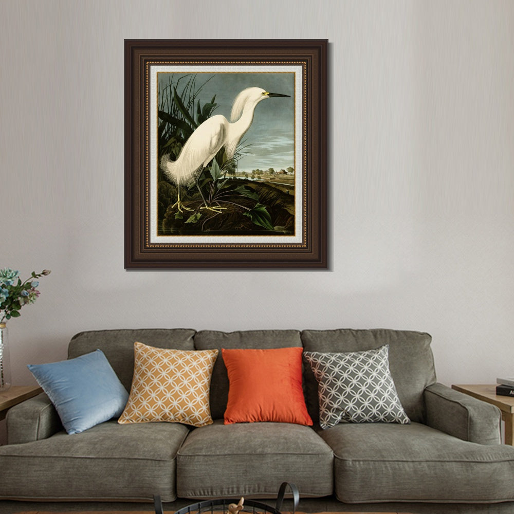 INVIN ART Framed Canvas Art Giclee Print Snowy Heron or White Egret by John James Audubon  Home Office Wall Art Decorations