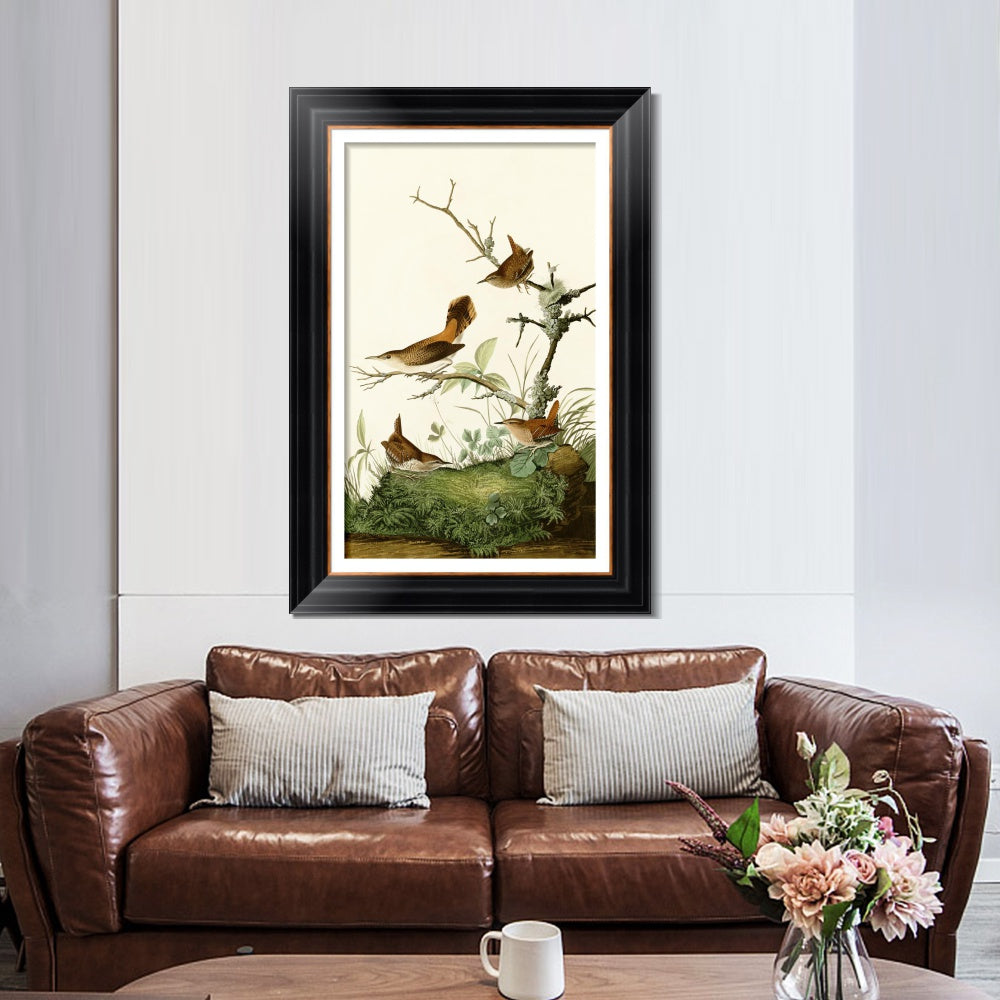 INVIN ART Framed Canvas Art Giclee Print Series#136 by John James Audubon  Home Office Wall Art Decorations
