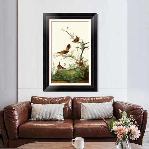 INVIN ART Framed Canvas Art Giclee Print Series#136 by John James Audubon Living Room Home Office Wall Art Decorations