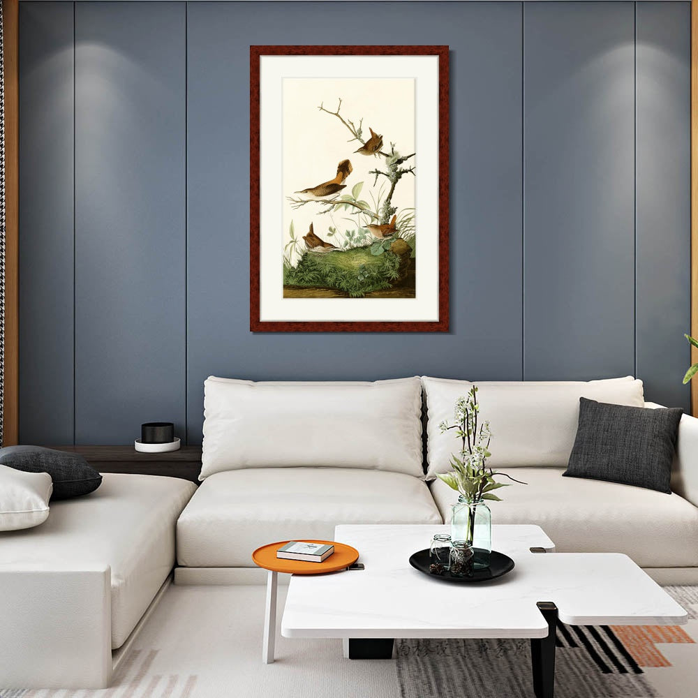INVIN ART Framed Canvas Art Giclee Print Series#136 by John James Audubon  Home Office Wall Art Decorations