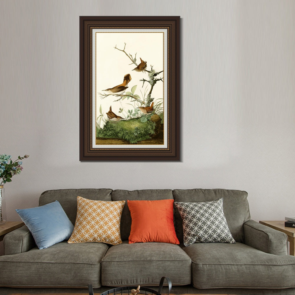 INVIN ART Framed Canvas Art Giclee Print Series#136 by John James Audubon  Home Office Wall Art Decorations