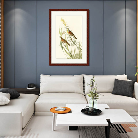 INVIN ART Framed Canvas Art Giclee Print Series#137 by John James Audubon Living Room Home Office Wall Art Decorations