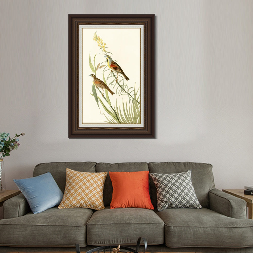 INVIN ART Framed Canvas Art Giclee Print Series#137 by John James Audubon  Home Office Wall Art Decorations
