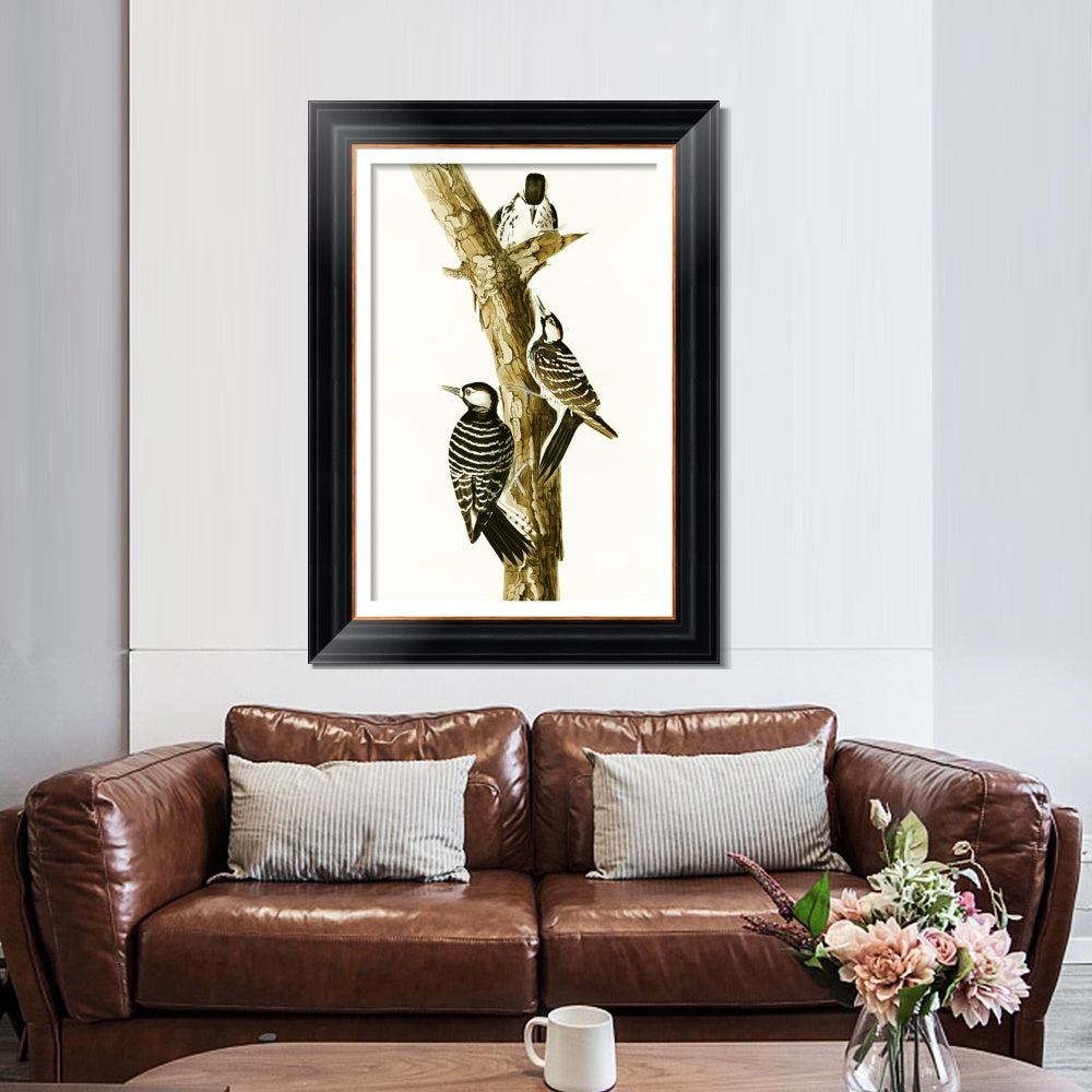 INVIN ART Framed Canvas Art Giclee Print Series#138 by John James Audubon  Home Office Wall Art Decorations