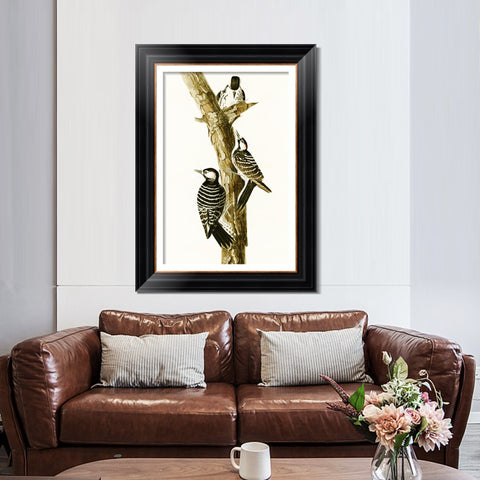 INVIN ART Framed Canvas Art Giclee Print Series#138 by John James Audubon Living Room Home Office Wall Art Decorations